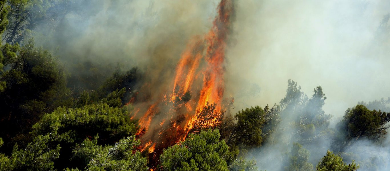 Εύβοια: Μεγάλη πυρκαγιά σε δύσβατη περιοχή